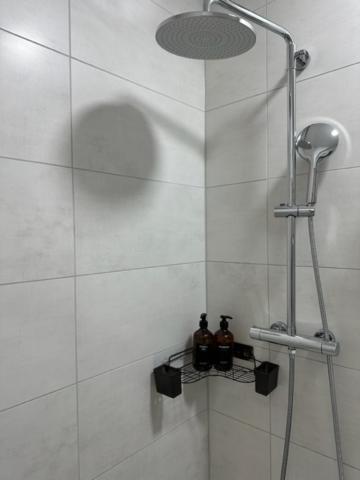 Ferienwohnung Domspatz Mit Klimaanlage 马格德堡 外观 照片